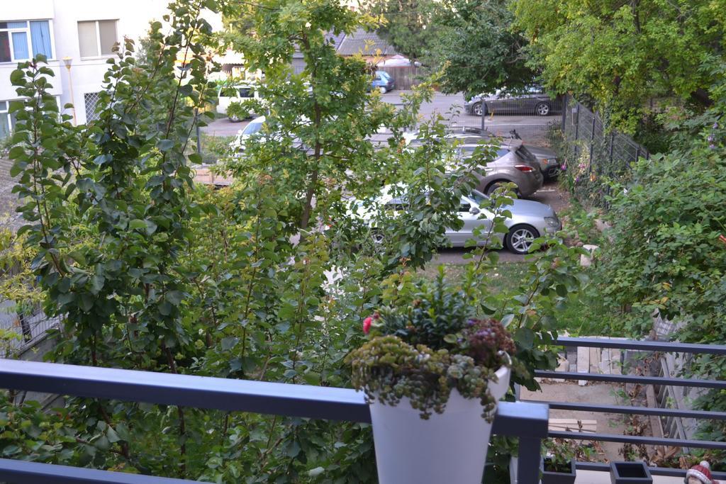 City Park Residence 康斯坦察 外观 照片